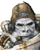 Benutzeravatar